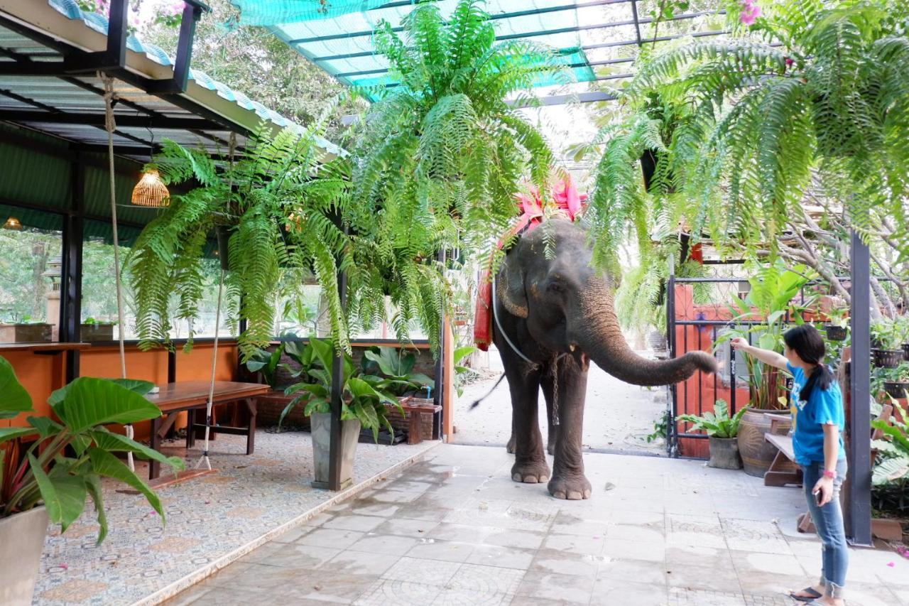 The Park Ayutthaya Resort And Spa Ngoại thất bức ảnh